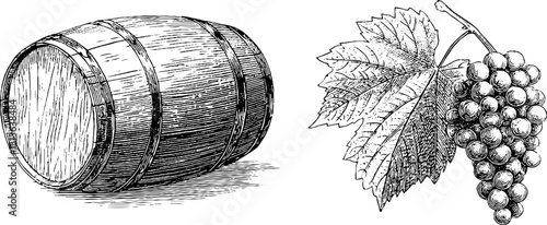 Vintage engraved illustration of grape bunch and wine barrel for art and decoration