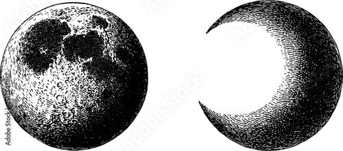 Vintage celestial engraving of moon and crescent for astronomical art and design