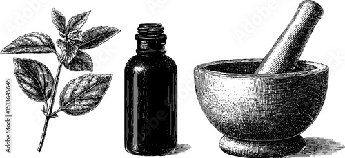 Vintage apothecary collection featuring engraved bottle and herbal elements