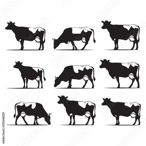 Set of jersey cow silhouettes in various poses. isolated vector on white background