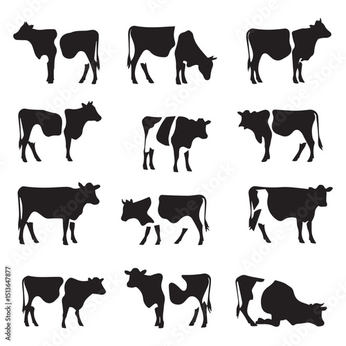 Set of jersey cow silhouettes in various poses. isolated vector on white background