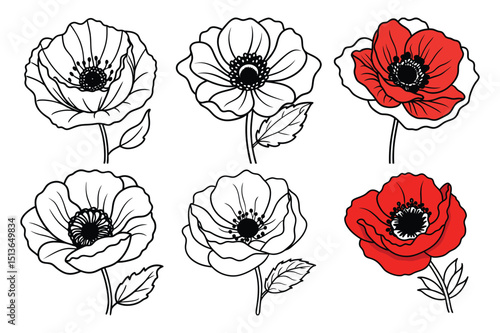 Set of red poppy petals flowers line art vector illustration on white background.