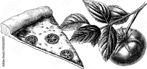 Engraved vintage illustration of pizza slice and tomato for culinary design