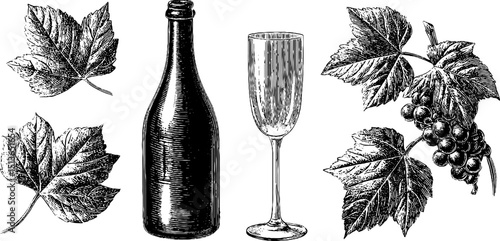 Engraved prosecco bottle with glass and grape leaves vintage illustration