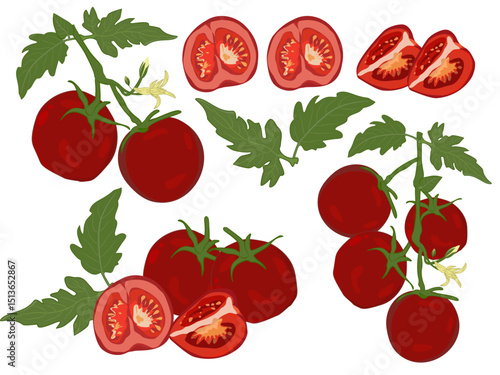 Tomatoes, white isolate background