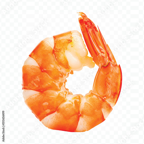 raw shrimp on a white background