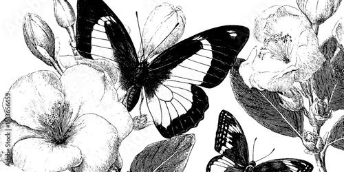 Engraved butterfly illustrations with floral motifs for nature-themed designs