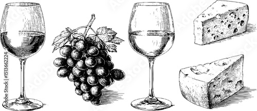 Engraved wine glass and grape illustration set for culinary design projects