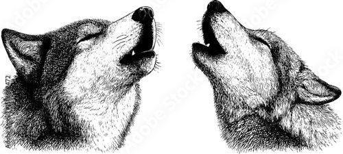 Intricate engraved wolf and howling wolf head set for nature-themed designs