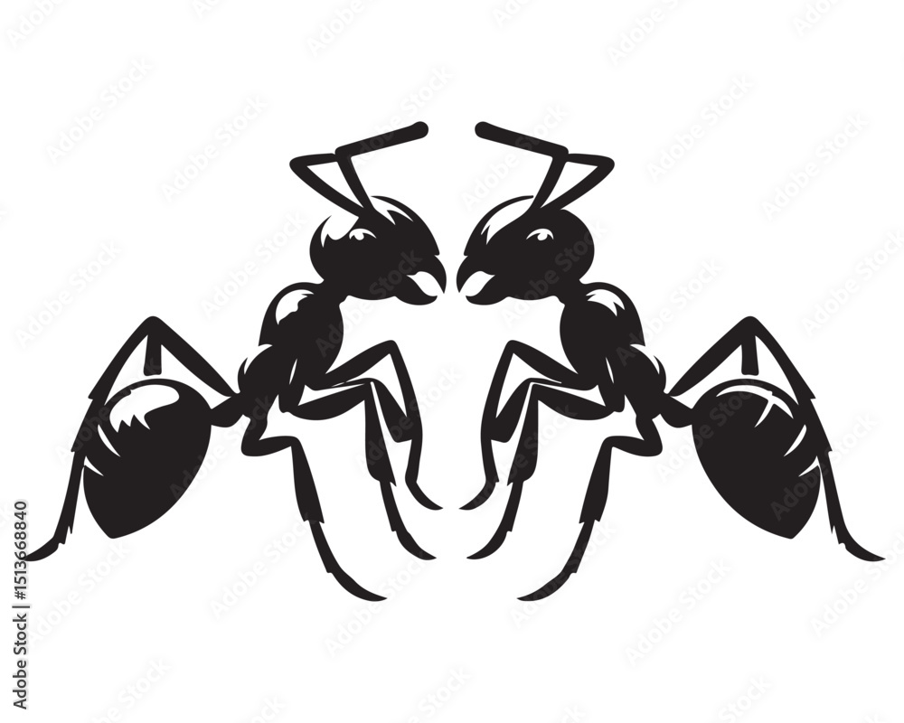 Fototapeta premium Ant 12.eps
