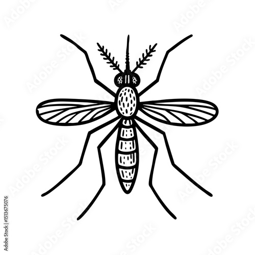 Cuadro en lienzo Anopheles Mosquito Doodle - Order Diptera