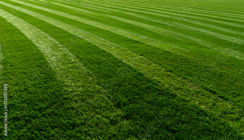 Lawn stripes recede into the distance