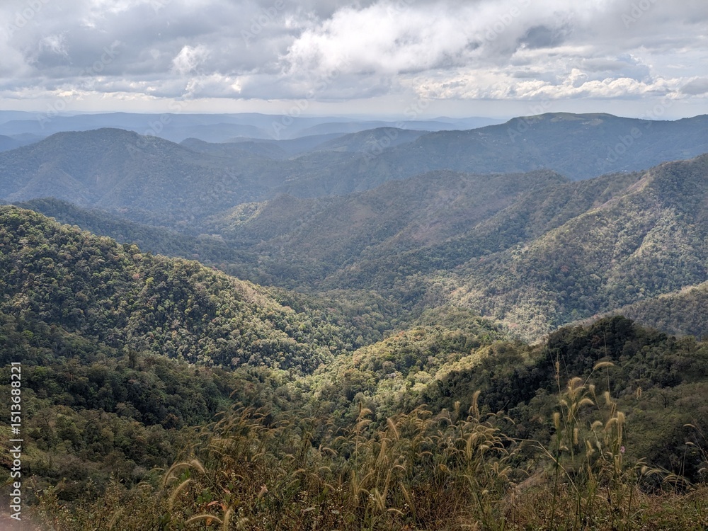 Naklejka premium Valley Depths and Rolling Forest Hills