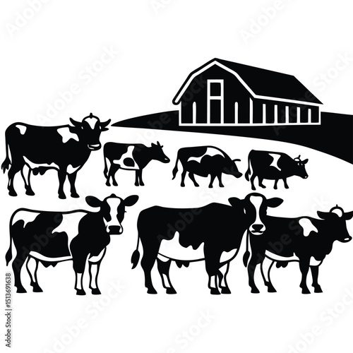 Cow herd in meadow with barn in background