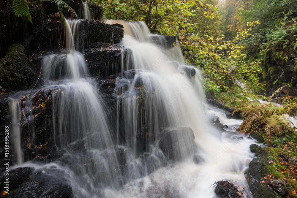 Fototapeta premium Waterfalls at the Birks of Aberfeldy, Moness Burn, Perth and Kinross, Scotland