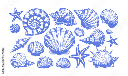 A Modern vector-style collection of detailed seashell and marine illustrations, Include a variety of shell types such as spiral, conch, scallop, and clam shells, easily scalable and editable.