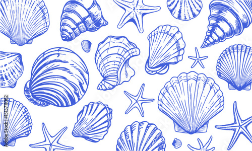 A Modern vector-style collection of detailed seashell and marine illustrations, Include a variety of shell types such as spiral, conch, scallop, and clam shells, easily scalable and editable.