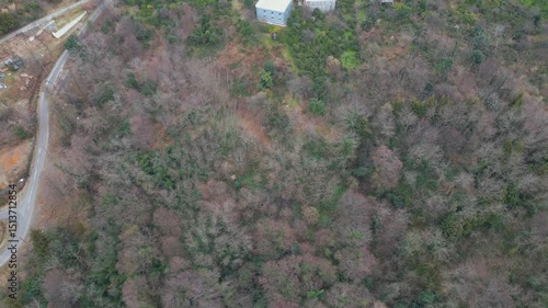Witness a breathtaking sunset illuminating Batumi's skyline, reflecting vibrant colors over houses and mountains in Adjara. Nature and urban life beautifully merge in this picturesque view.
