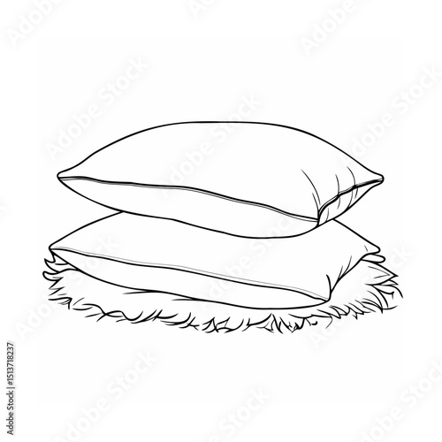 Stacked pillows on a fluffy rug black and white simple home interior design