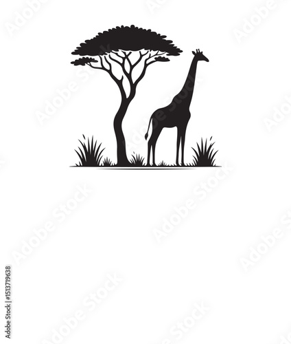  Silhouette of a giraffe , isolated on a white background