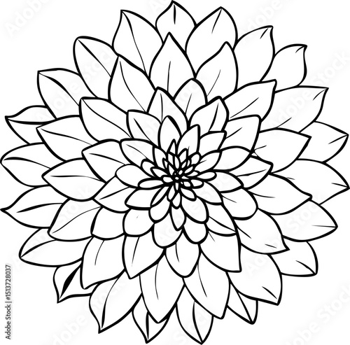 dahlia flower vector outline icon on white or transparent background