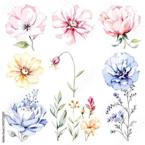 Watercolor floral illustration set with delicate flowers and leaves, isolated on white background