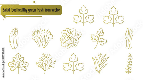 Salad food healthy green fresh  icon vector