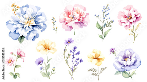  Set of watercolor flowers on white background, Set watercolor Flowers Clipart