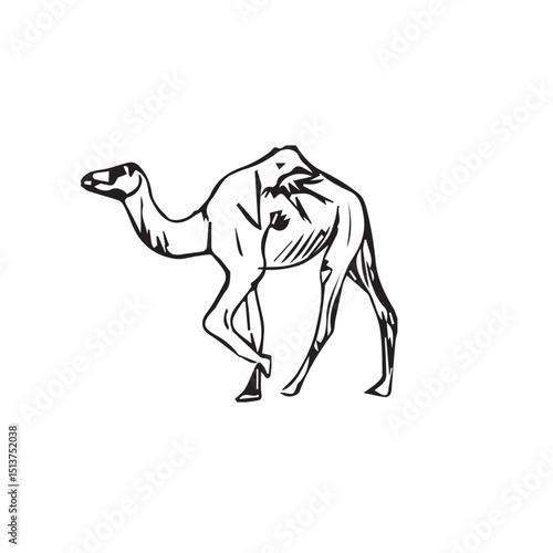 Arabian Camel Single Icon in Monoline Style...camel..