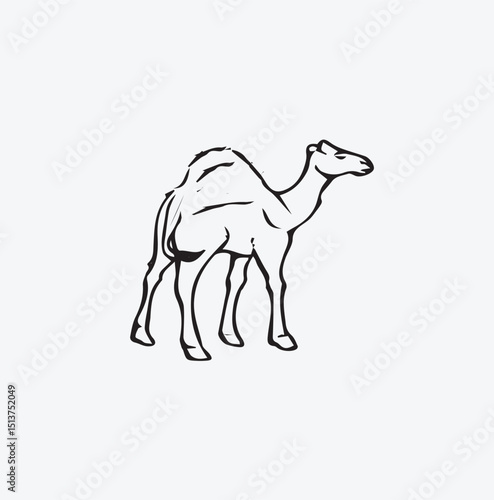 Single Dromedary Camel Outline Icon Design...