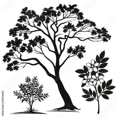 A serene landscape featuring trees and plants in a natural setting