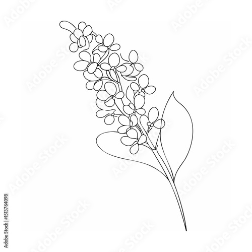 Elegant line art illustration of a delicate lilac flower blooming against a white background