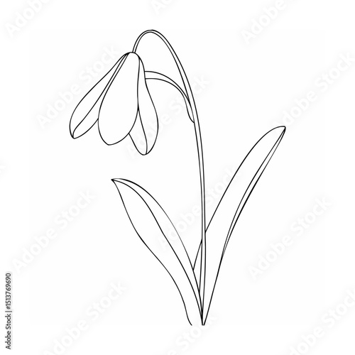 Simple snowdrop flower outline in black and white for spring or botanical designs