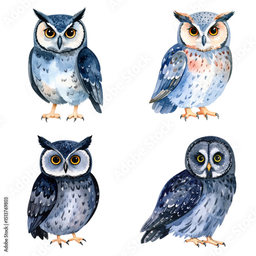 fluffy cute owl watercolor style, isolated white background