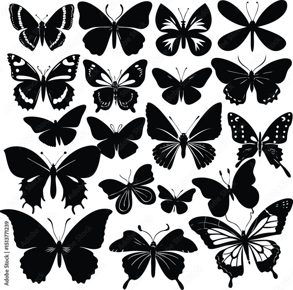 Obraz premium Collection of black silhouettes of various butterfly species