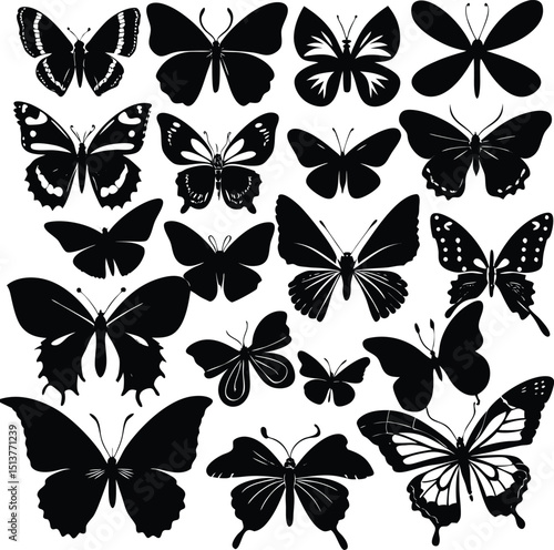 Collection of black silhouettes of various butterfly species