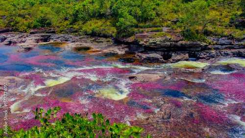 Caño Cristales is a river in Colombia that is located in the Sierra de la Macarena, in the department of Meta. It is considered by many as the “Most Beautiful River in the World”