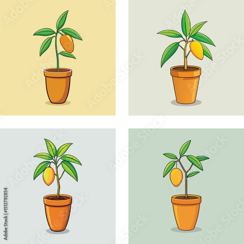 Four Potted Mango Trees Cartoon Style Illustration On Pastel Backgrounds