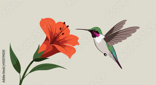 Hummingbird hovering near bright orange flower in natural setting  