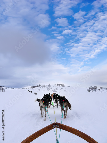 Photography Six husky sled dogs or dog sleigh running across widerness white snow, winter sp