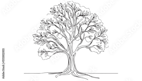 Continuous one single minimal line drawing big tree