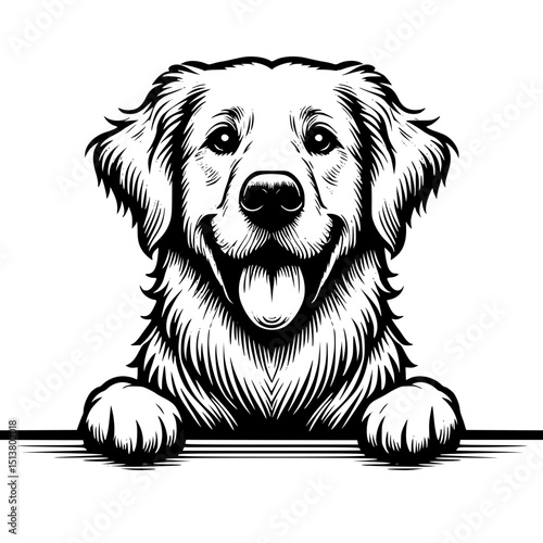 Golden Retriever Peeking Dog Vector Illustration Isolated on White