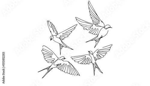 Continuous one single minimal line drawing Swallows birds
