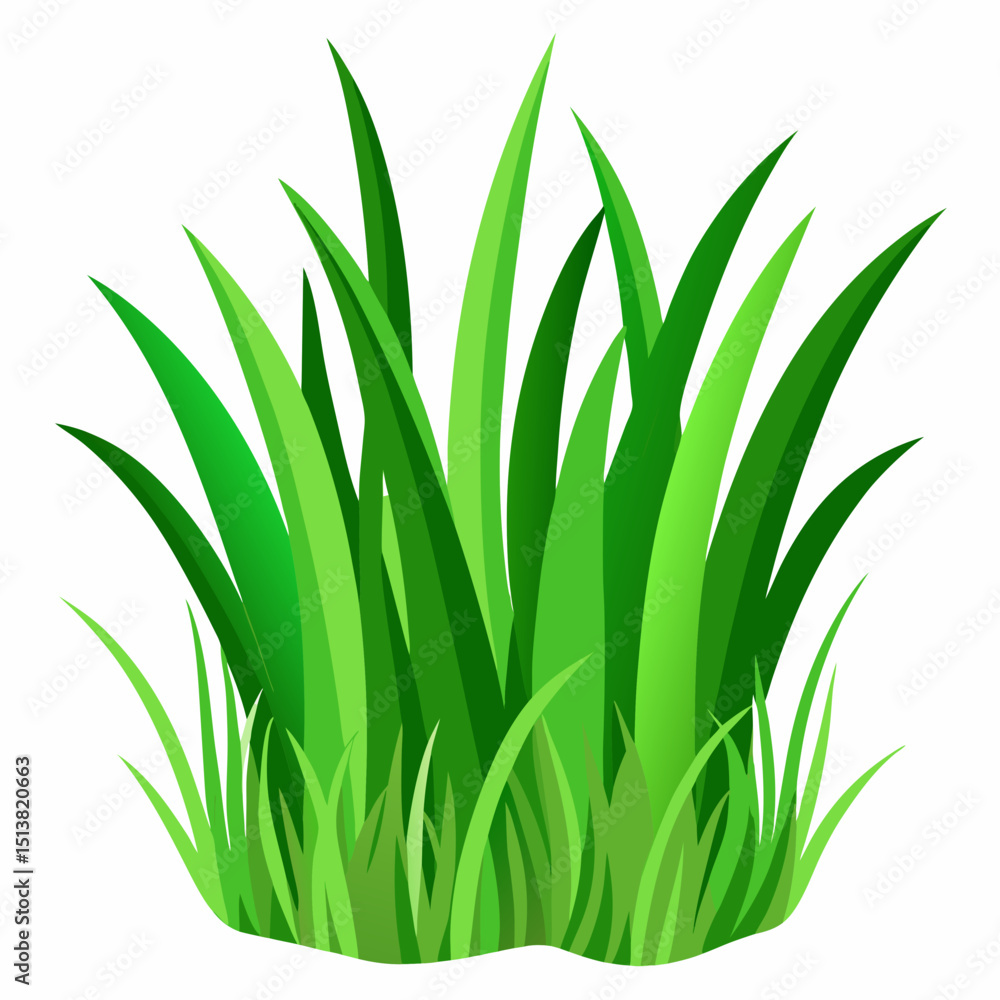 Fototapeta premium Green grass isolated on white background 