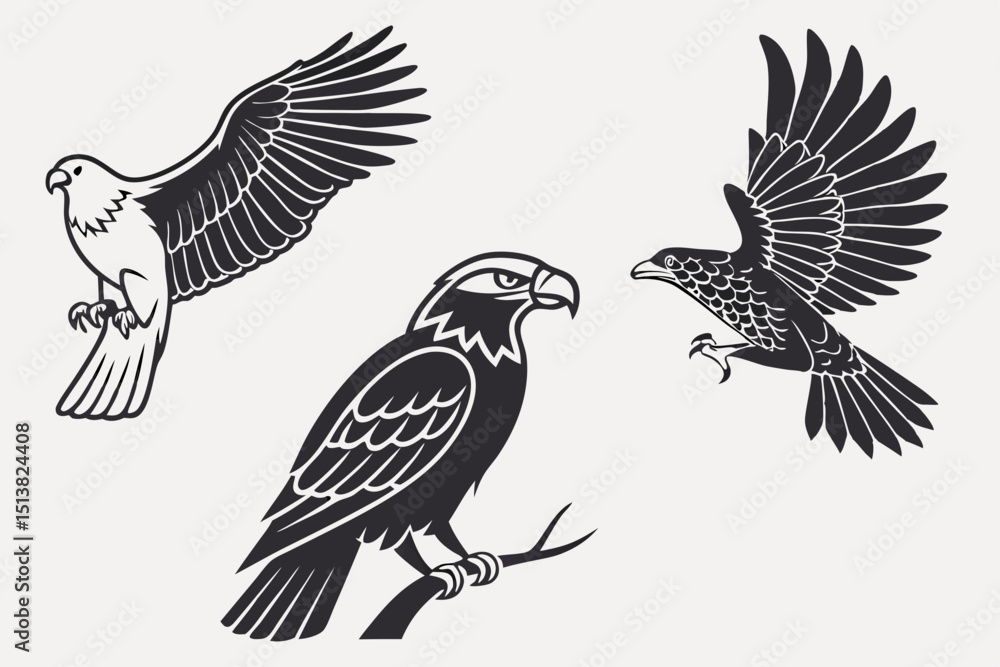 Obraz premium eagle vector illustration