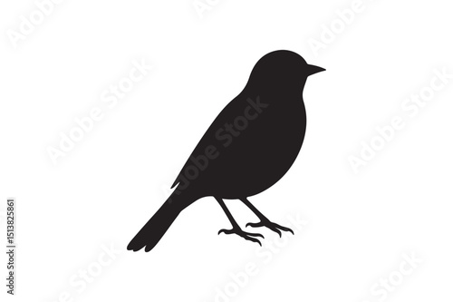 Bird silhouette on white background.