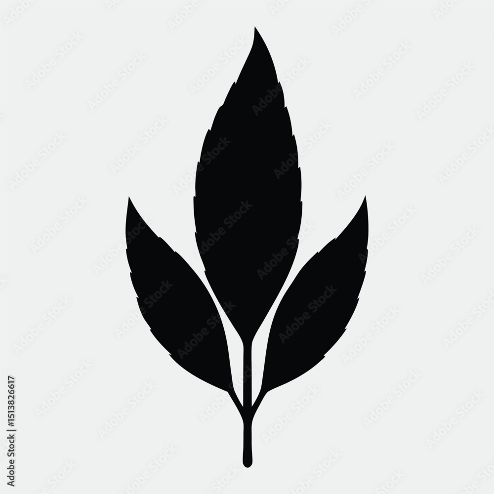 Fototapeta premium green leaves