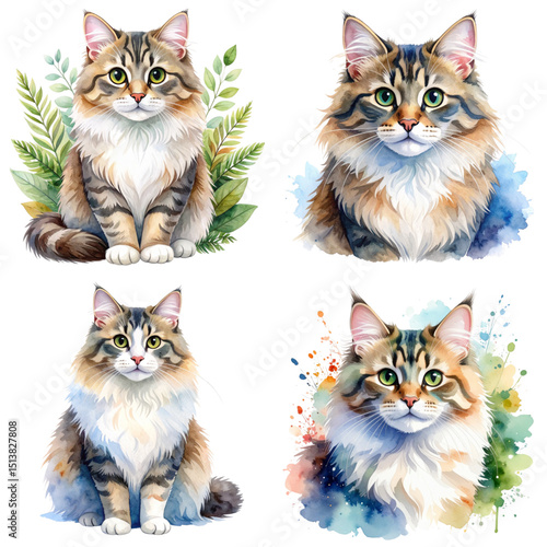 fluffy cute cat watercolor style, isolated white background