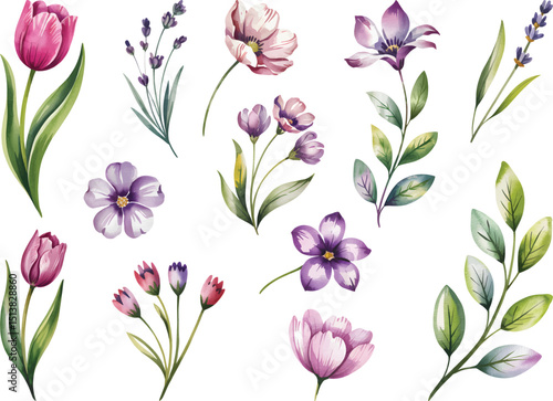 Wallpaper Mural Botanical Watercolor Clipart, Hand-Drawn Flower and Leaf Illustrations. Torontodigital.ca