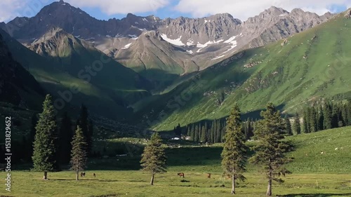 Alpine Valley View
Description: A wide view of an alpine valley with snowy peaks and green meadows.